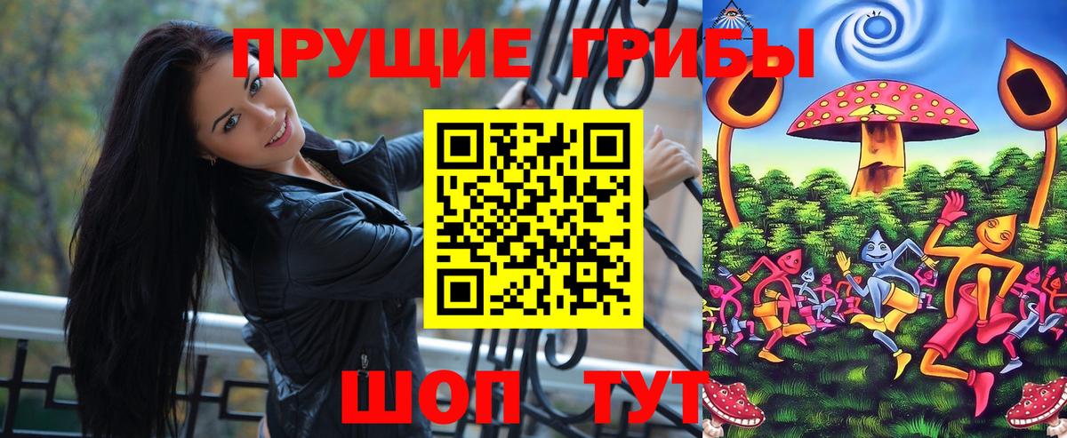 Псилоцибиновые грибы мицелий Петропавловск-Камчатский