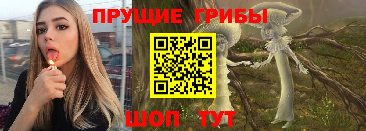 Галлюциногенные грибы ЛСД  Вход с VPN  продажа наркотиков  Галлюциногенные грибы Psilocybe  Петропавловск-Камчатский 