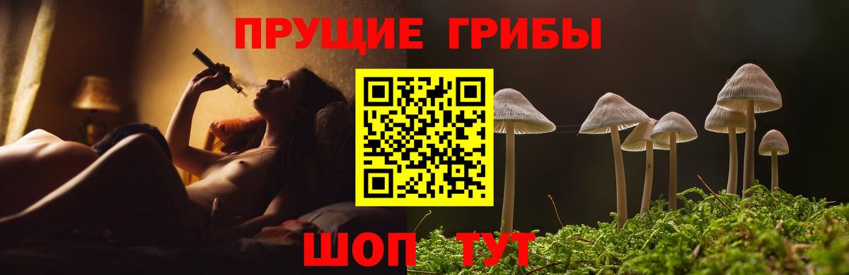 Героин Петропавловск-Камчатский